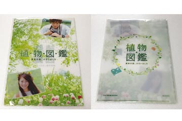 「植物図鑑　運命の恋、ひろいました（DVD）」の松竹DVD倶楽部特典 クリアファイル DVD 邦画