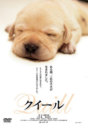 犬と私の10の約束 プレミアム・エディション＜2枚組＞(DVD) | 松竹DVD