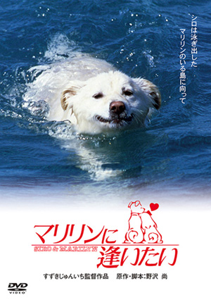 犬と私の10の約束 プレミアム・エディション＜2枚組＞(DVD) | 松竹DVD