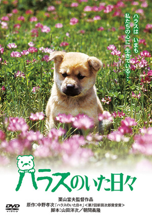 犬と私の10の約束 プレミアム・エディション＜2枚組＞(DVD) | 松竹DVD