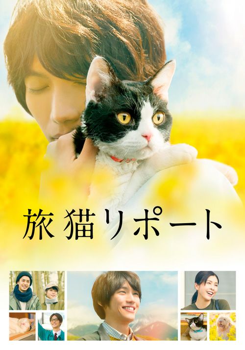 （初回限定生産）　豪華版　旅猫リポート　松竹DVD倶楽部